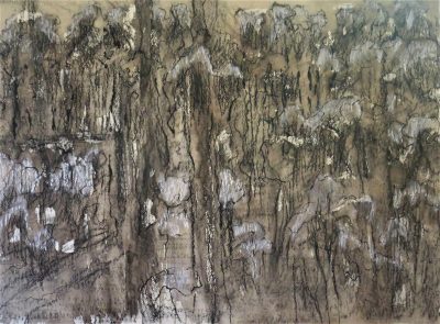 Redbank Forest. Charcoal and mixed media