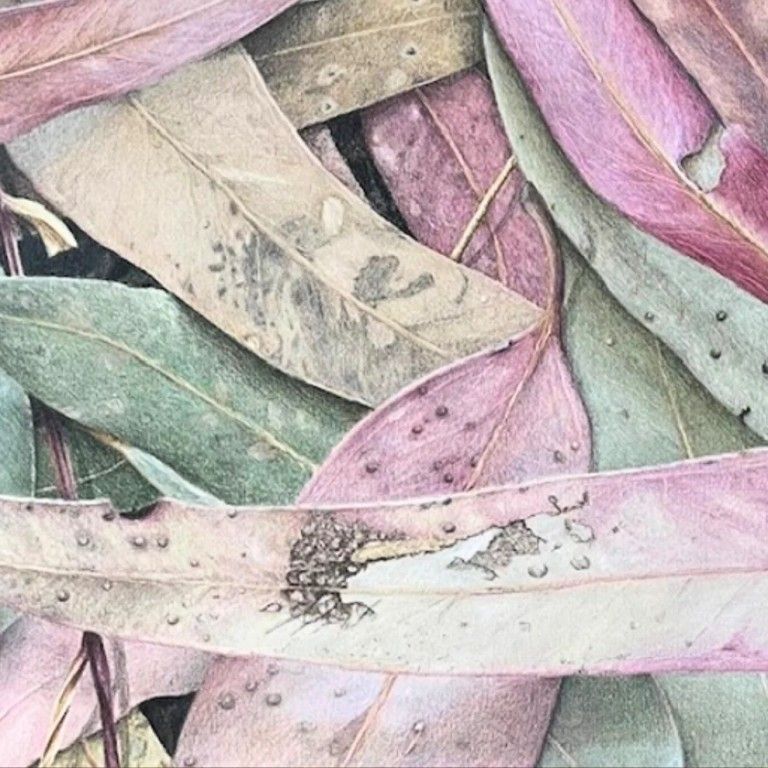 Coloured Pencil