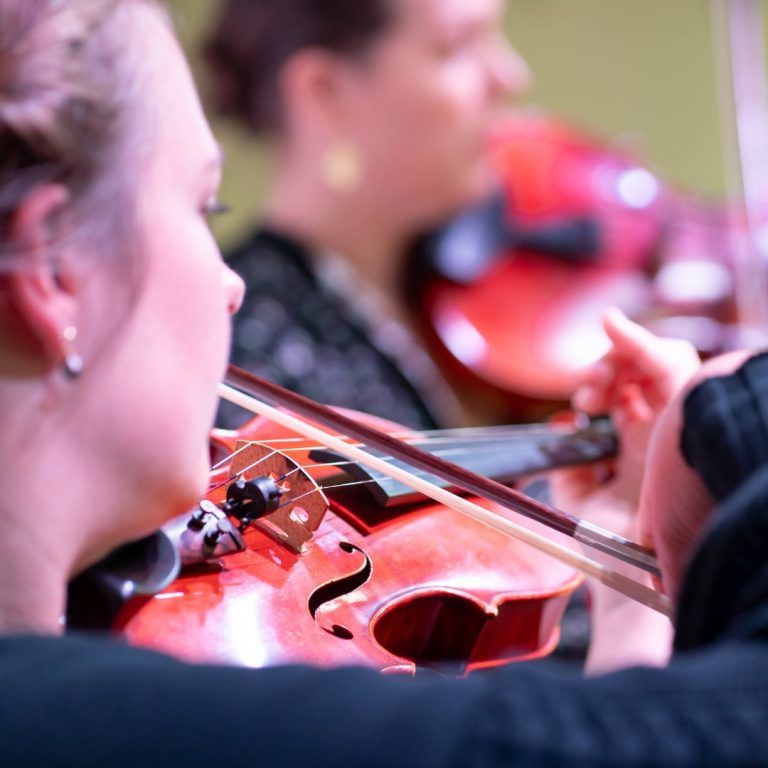 Albury Wodonga Symphony Orchestra Launch