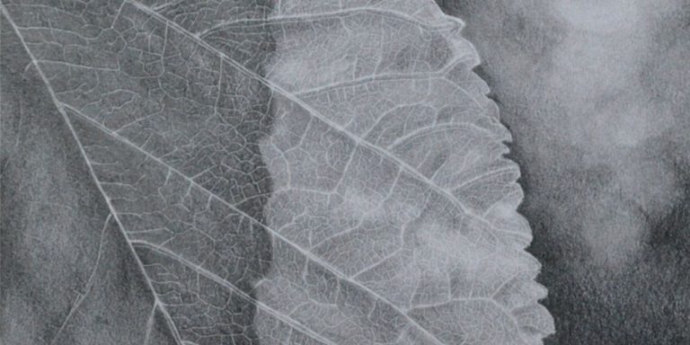Graphite Pencil Workshop