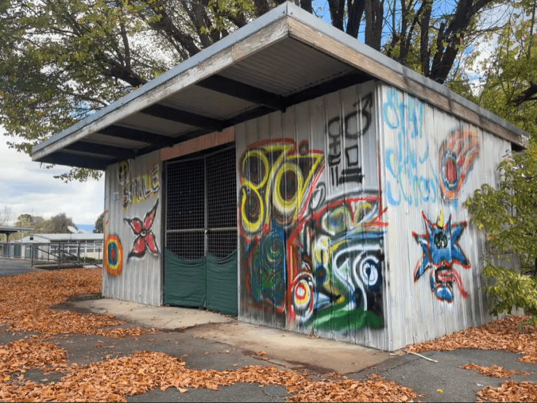 Youth Skatepark Graffiti