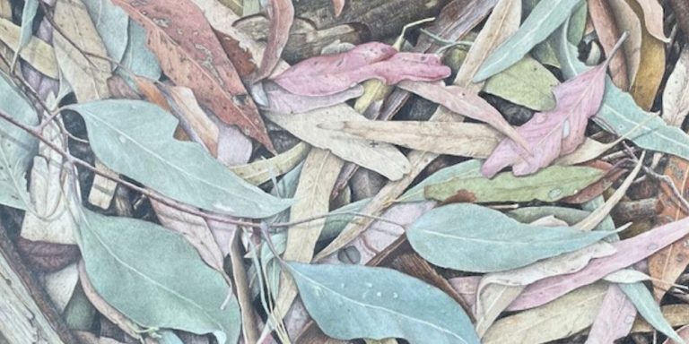 Coloured Pencil Workshop