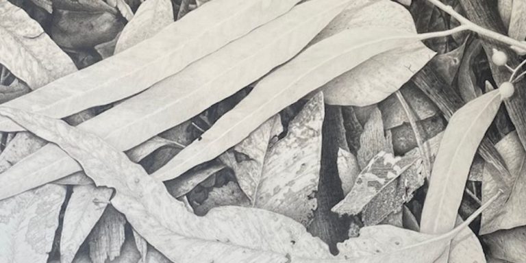 Graphite Pencil Workshop