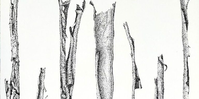 Stippling Workshop