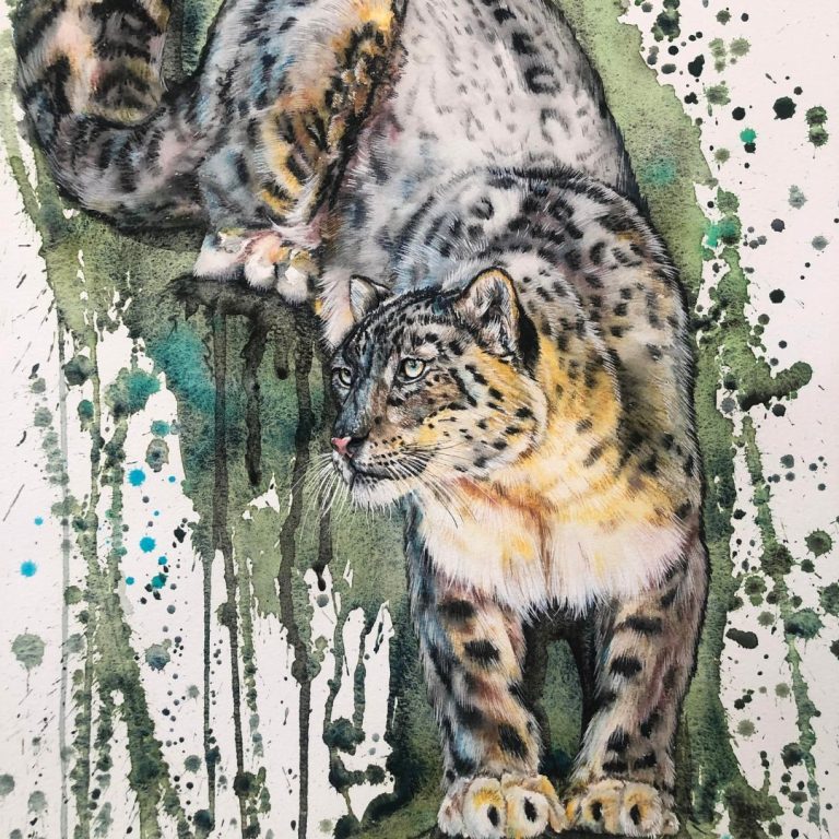 Watercolour Workshop