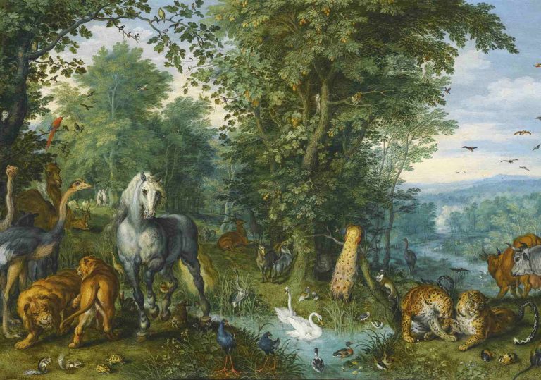 Animal Kingdom : 2025 Annual Members Exhibition