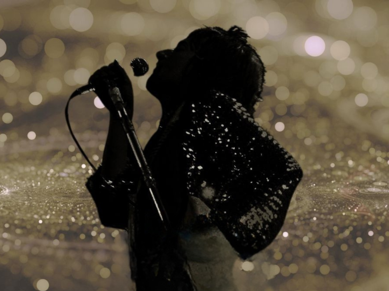 The UK Rod Stewart Show