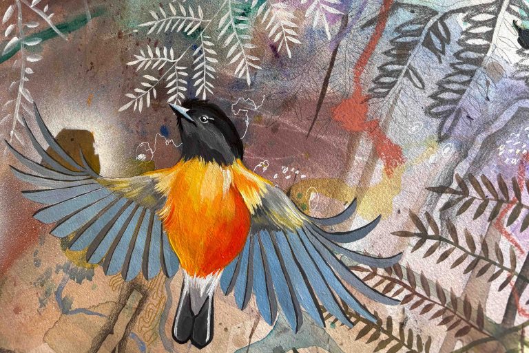 Sophie Chauncy: Wingspan