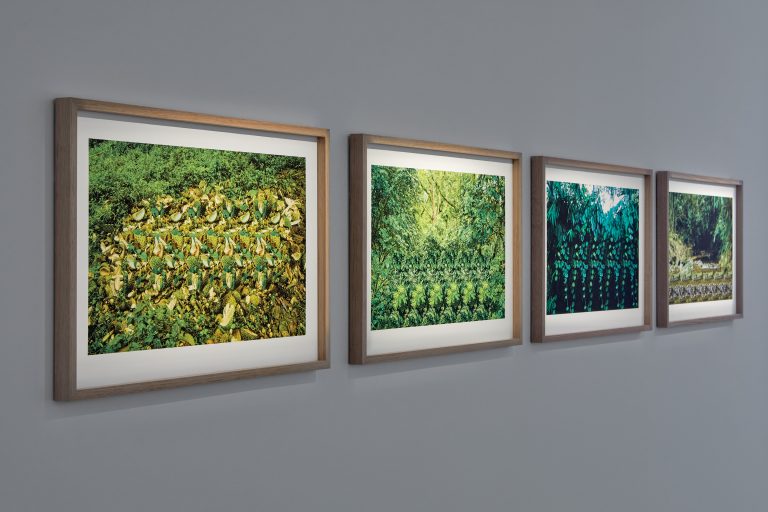 Inhabit Our Everything / Nothing