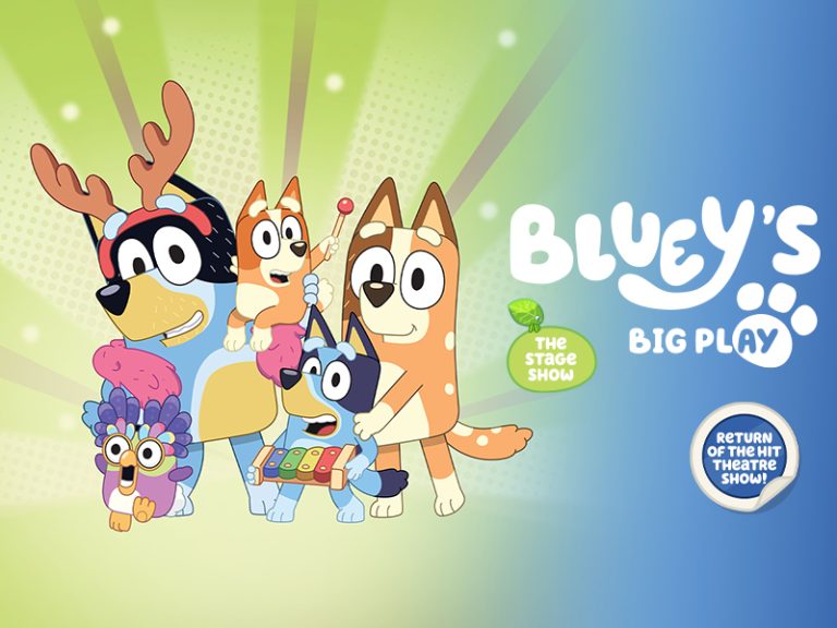 Blueys Big Play The Stage Show