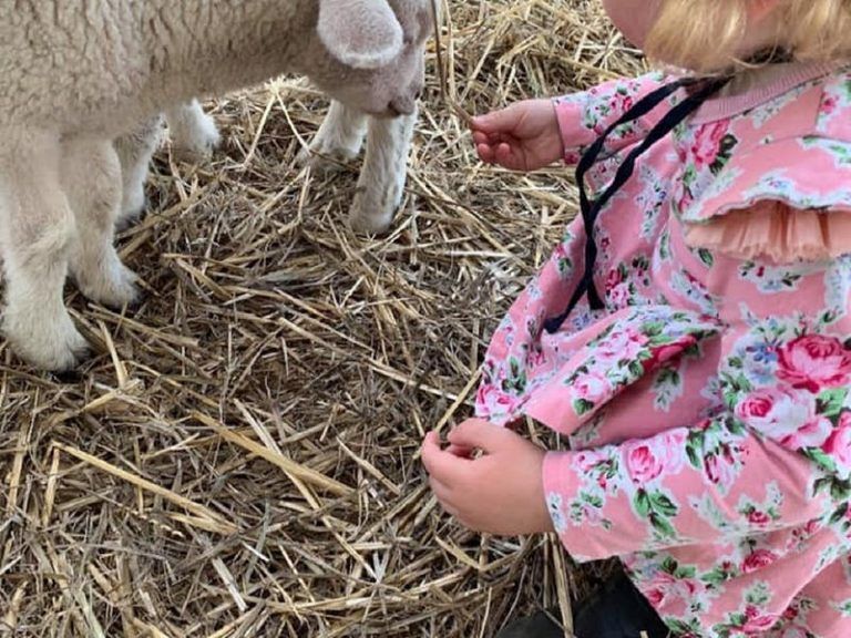 Corryong Show