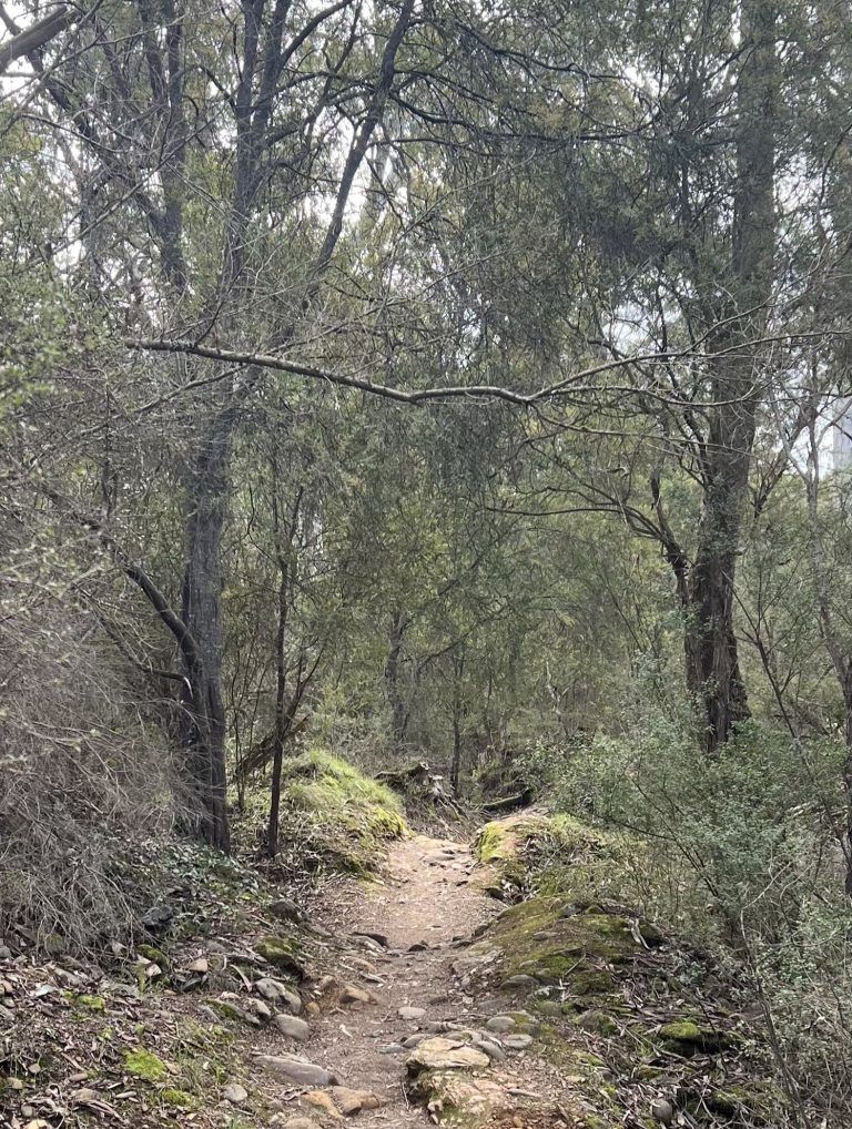 Awakening Wellbeing in Nature – a green prescription