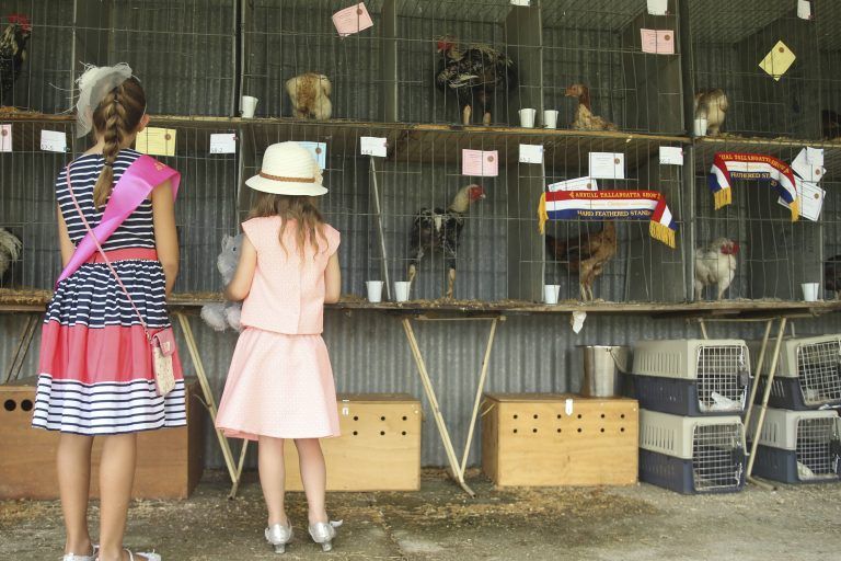 Tallangatta’s 130th Annual Show