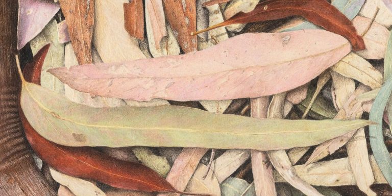 Coloured Pencil Workshop