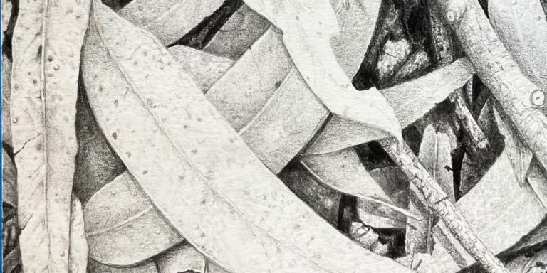 Graphite Pencil Workshop