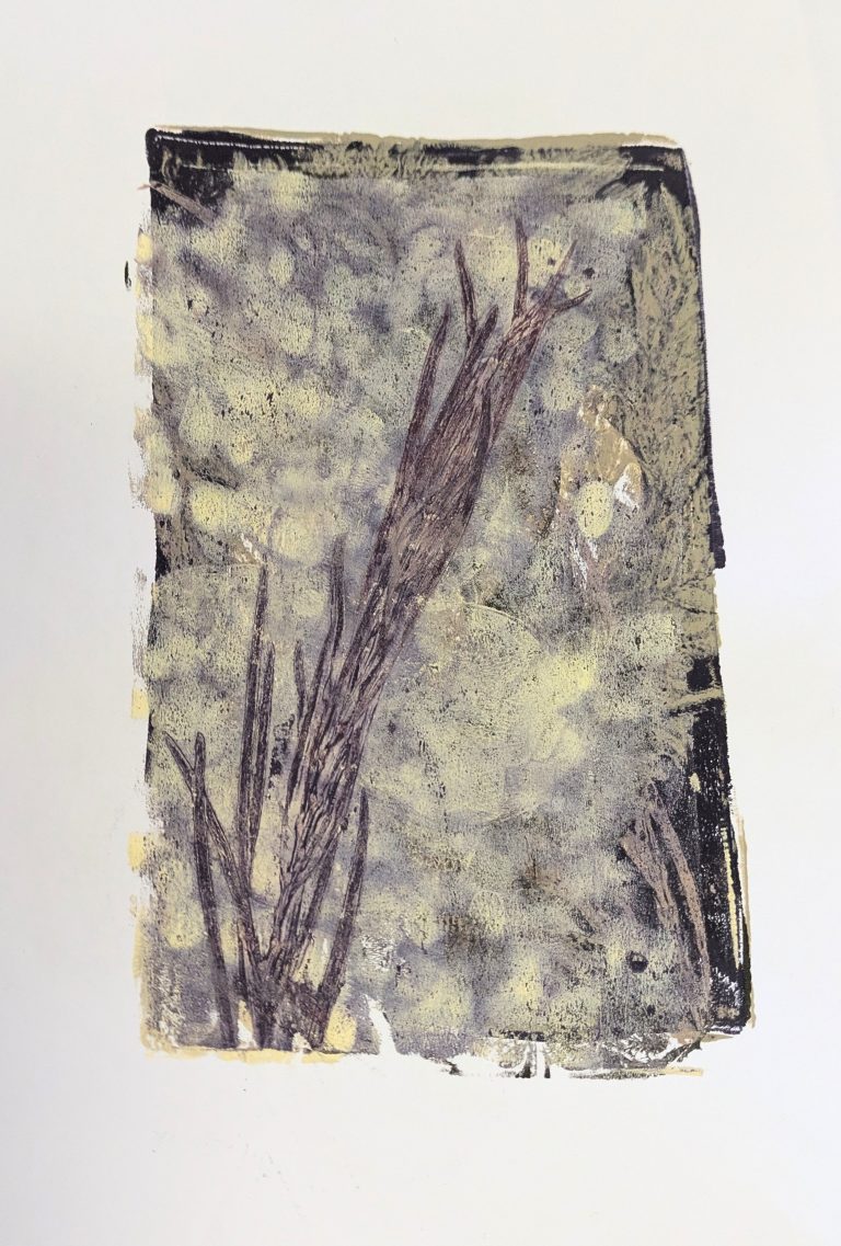 Regrowth: A Community Imprint