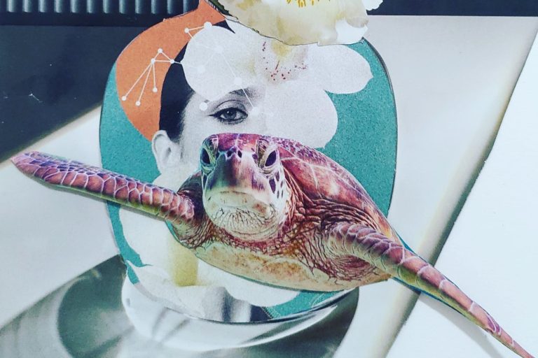 Exploring Cut and Paste with Donna Caffrey