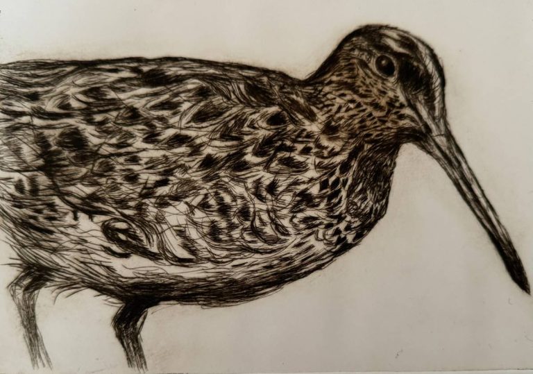 MINI   PRINT  WORKSHOPS   AT   CREATORS ARTSPACE