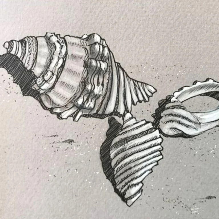 SKETCHBOOK 101 with Amanda McLean