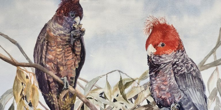 Wonderful Watercolourists of Chiltern & Surrounds